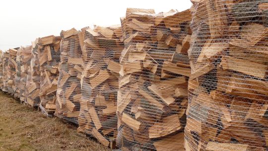Petycja o wprowadzenie stawki 0% na VAT na drewno opałowe