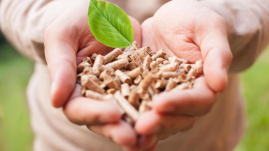 Biomasa w KPEiK: OZE tylko dla dużych instalacji? subiektywny  komentarz do Krajowego Planu w dziedzinie Energii i Klimatu