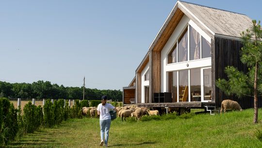 Budowa domu szybciej i taniej. Zalety domów modułowych i prefabrykowanych