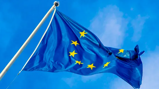 Czy Unia Europejska zakaże ogrzewania drewnem? Fakty, przepisy i najczęstsze mity