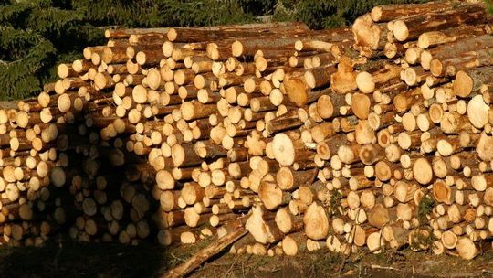 Drewno opałowe - dowiedzmy się więcej