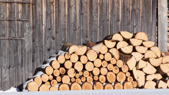 Dyrektywa RED III -Drewno ważnym paliwem OZE w Unii Europejskiej