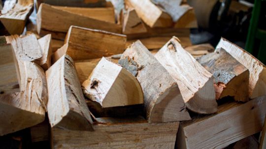 holandia-plonie-drewno-kominkowe-drewnex