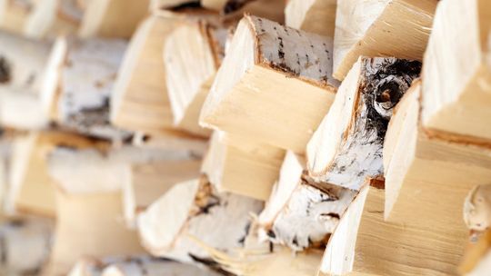 Konsultacje w sprawie aktualizacji Programu Ochrony Powierza dla województwa wielkopolskiego Konsultacje w sprawie aktualizacji Programu Ochrony Powierza dla województwa wielkopolskiego