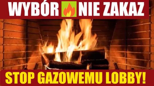 Kraków, smog i akcja „Tak dla drewna, stop gazolobby”