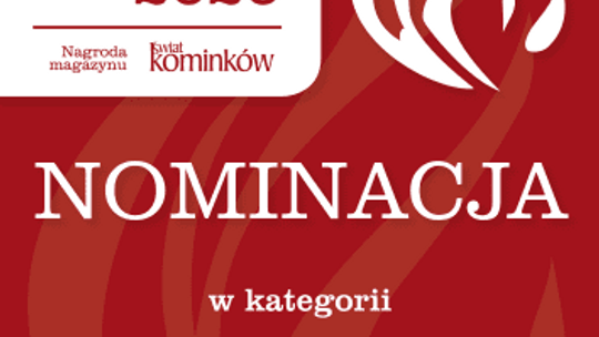 Płomień Roku 2020 - nominacje w kategorii Firma - Handel i Usługi