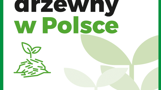 Raport " Pellet drzewny w Polsce"