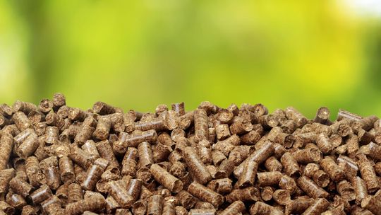 Report: Dynamics of development of the Polish wood pellet industry