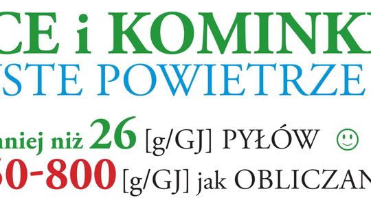 Zakaz spalania drewna w kominkach będzie miał znikomy wpływ na jakość powietrza