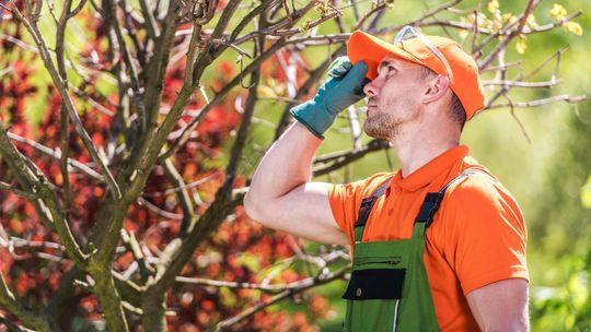 Zimowe porządki w ogrodzie z narzędziami STIHL