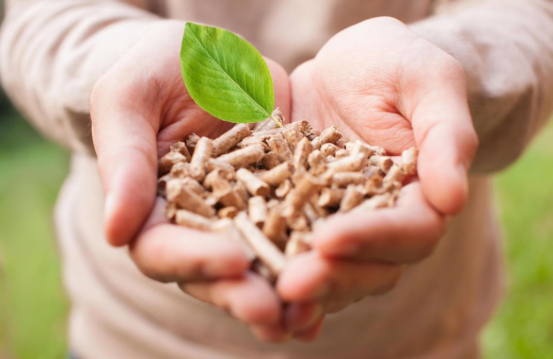 Biomasa w KPEiK: OZE tylko dla dużych instalacji? subiektywny komentarz do Krajowego Planu w dziedzinie Energii i Klimatu Biomasa w KPEiK: OZE tylko dla dużych instalacji? subiektywny komentarz do Krajowego Planu w dziedzinie Energii i Klimatu