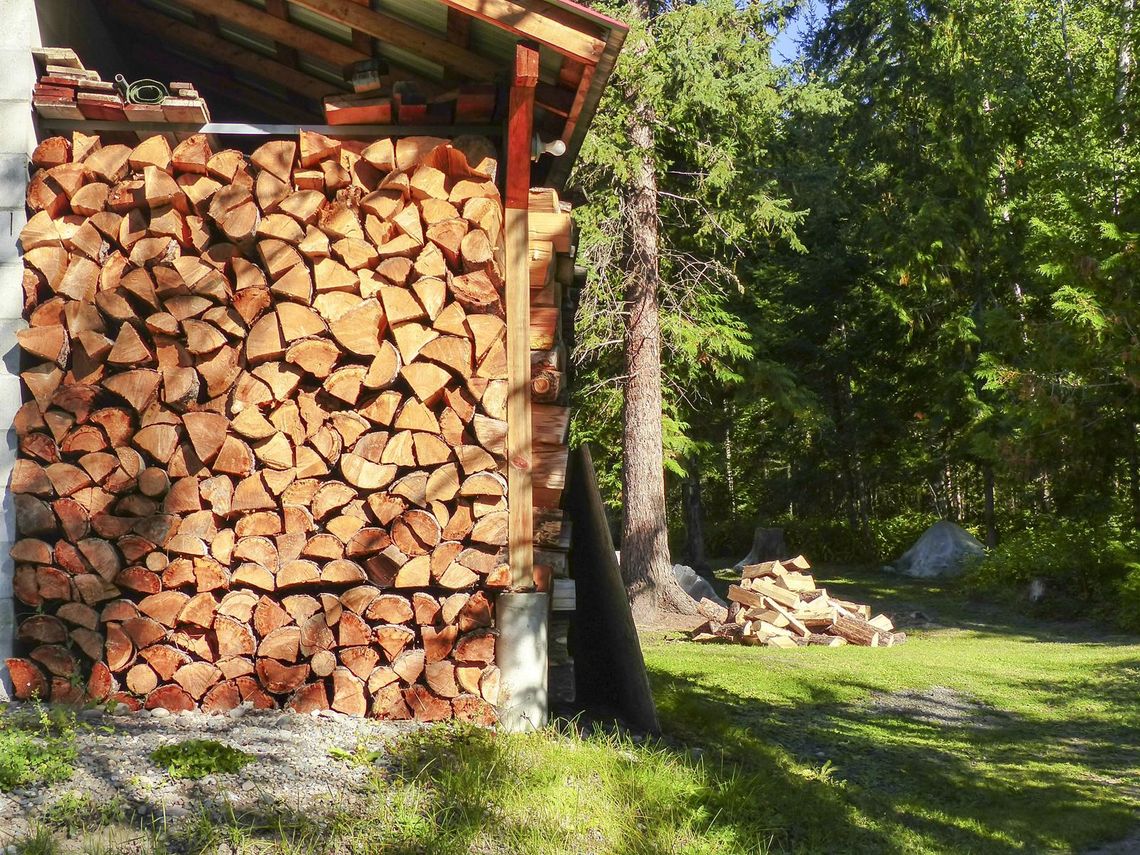 Czy biomasa pomoże walczyć ze smogiem?