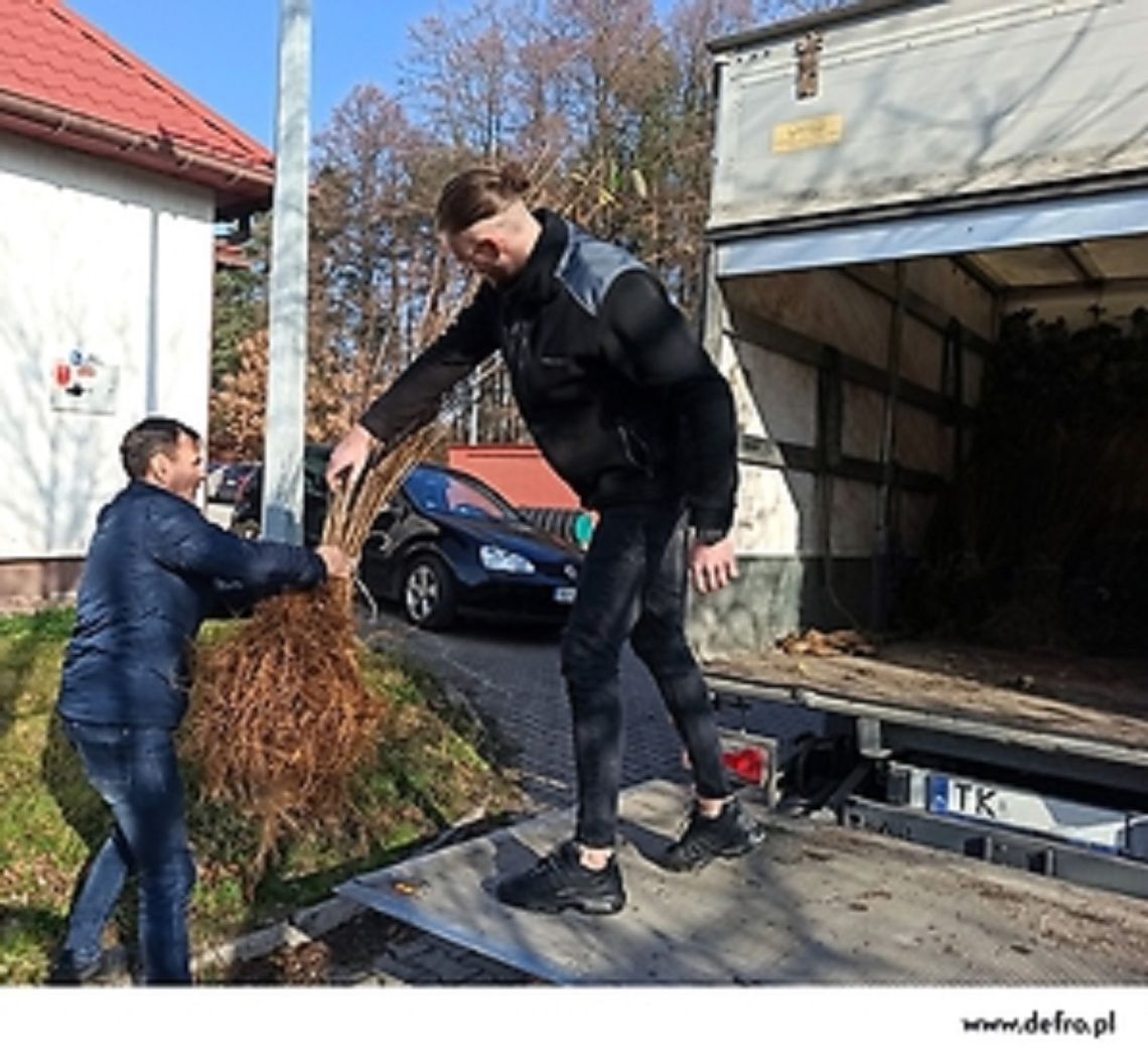 "Czyste ciepło odrasta" - akcja Defro Home