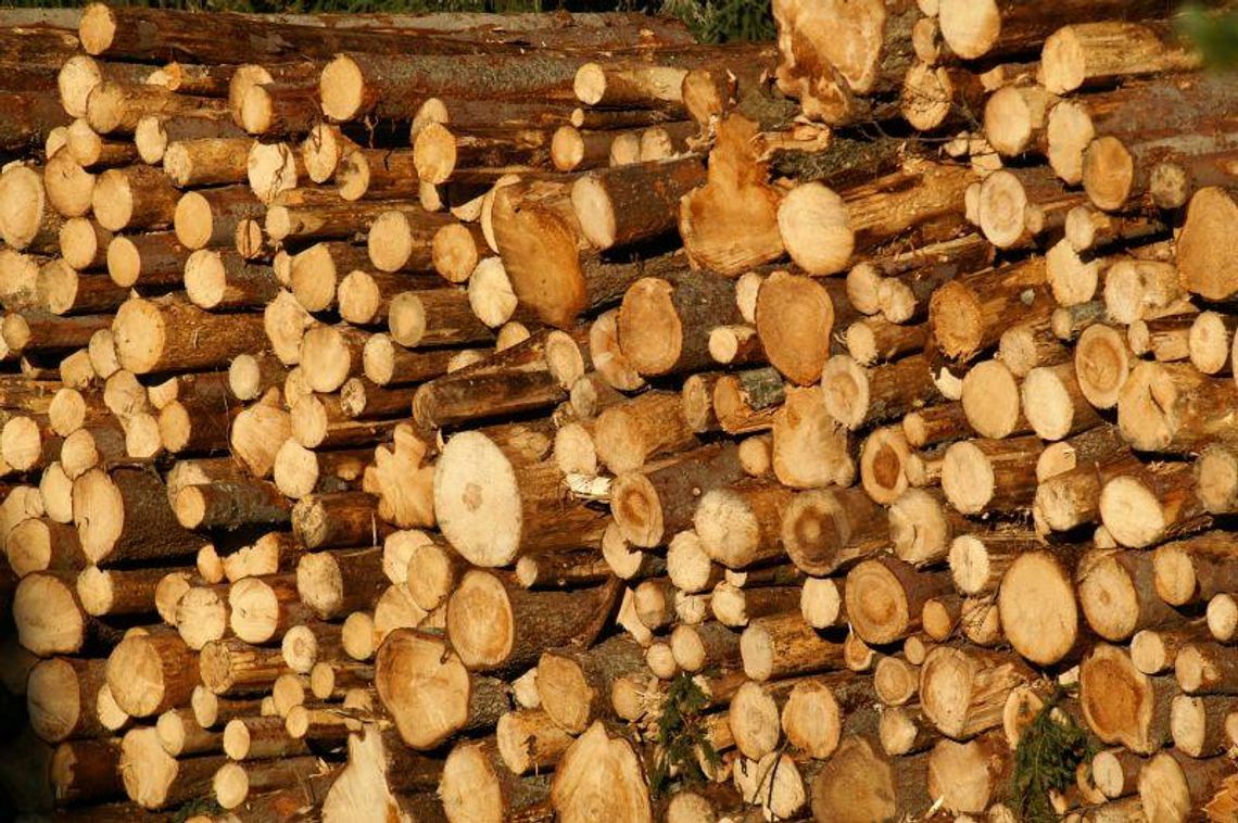 Jakie drewno najlepiej wybrać do wędzenia?
