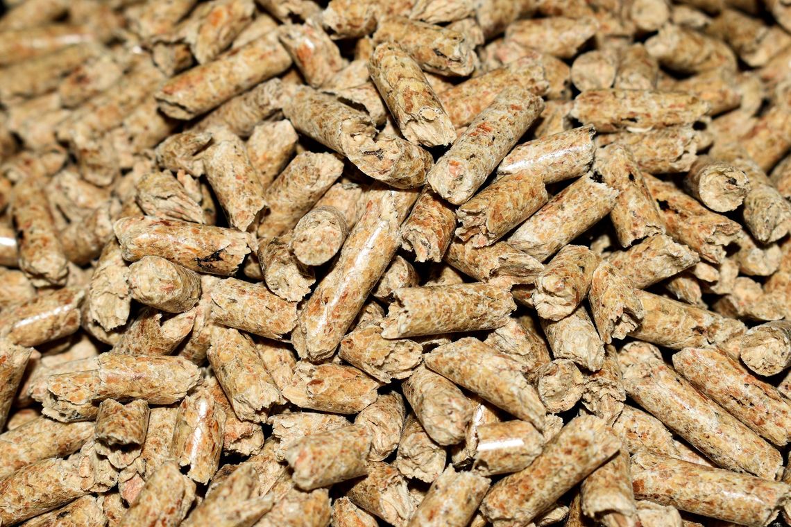 Lasy Państwowe rozpoczęły sprzedaż własnego pelletu