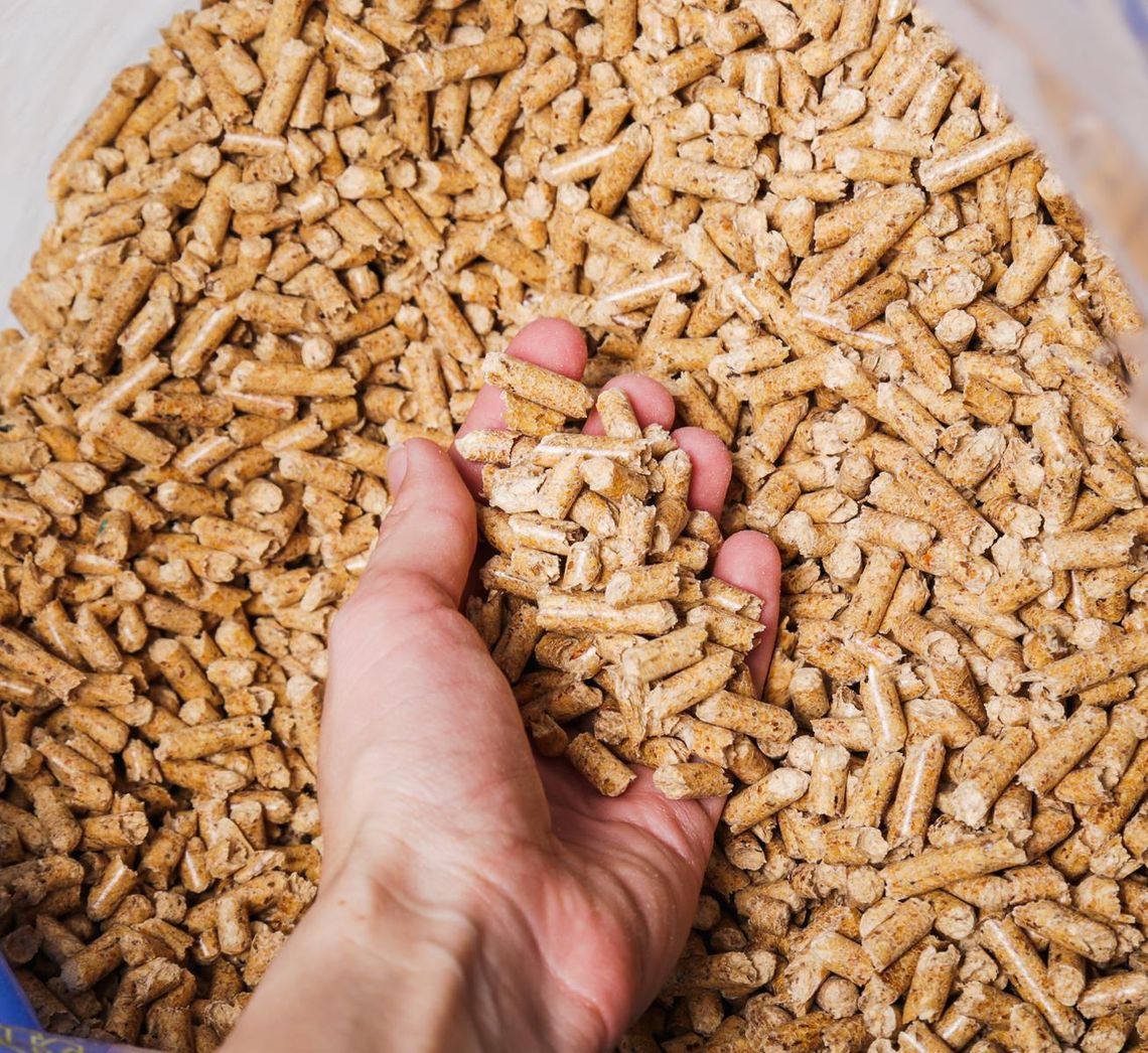 Lasy Państwowe rozpoczynają produkcję pelletu - szansa na ustabilizowanie rynku pelletu