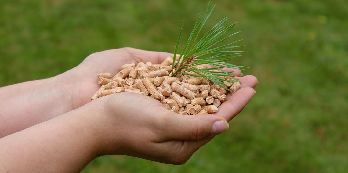 pellet-koszty-i-ekologia-ogrzewania-fakty-i-mity