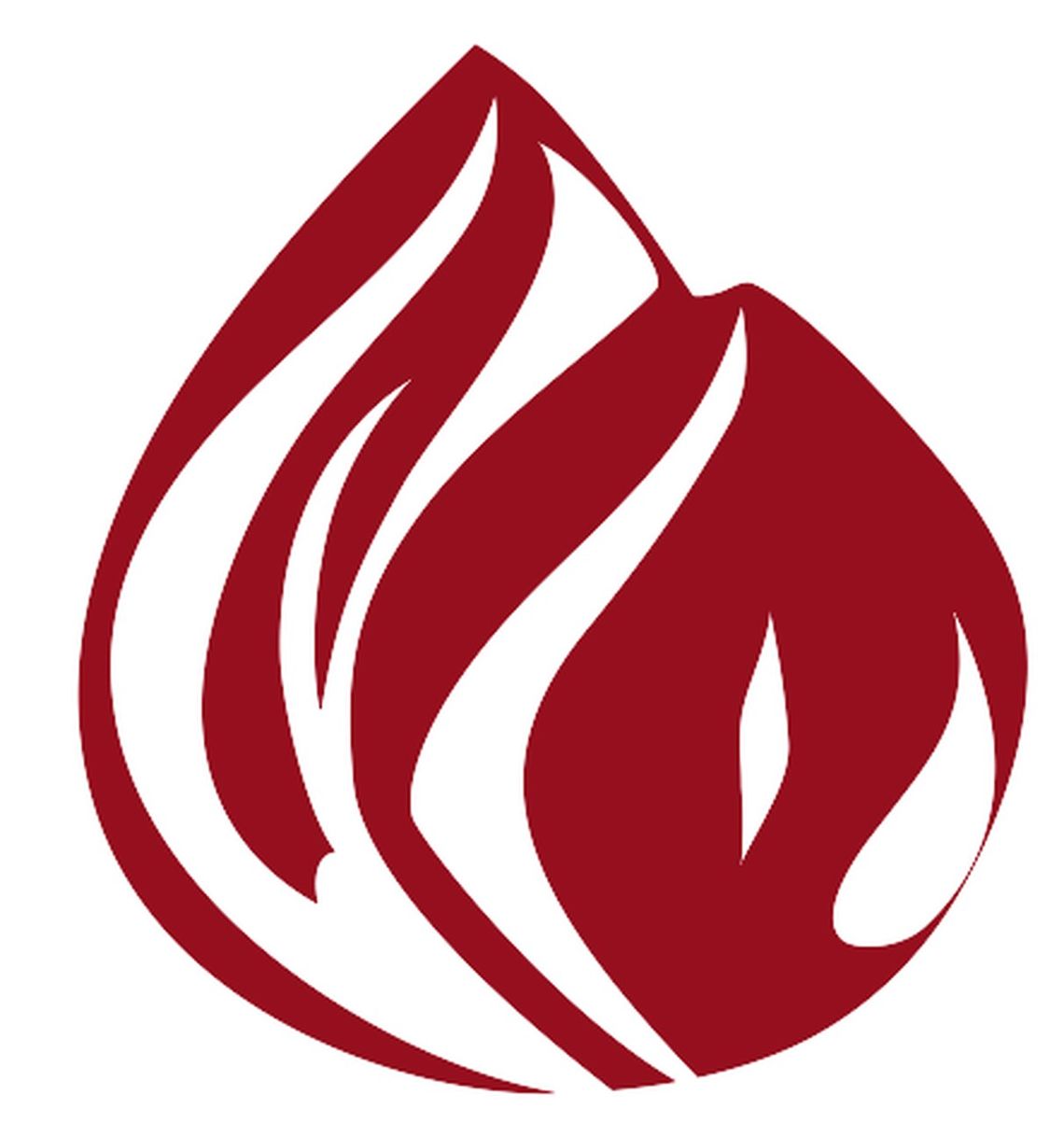 Płomien Roku 2011 - nominacje