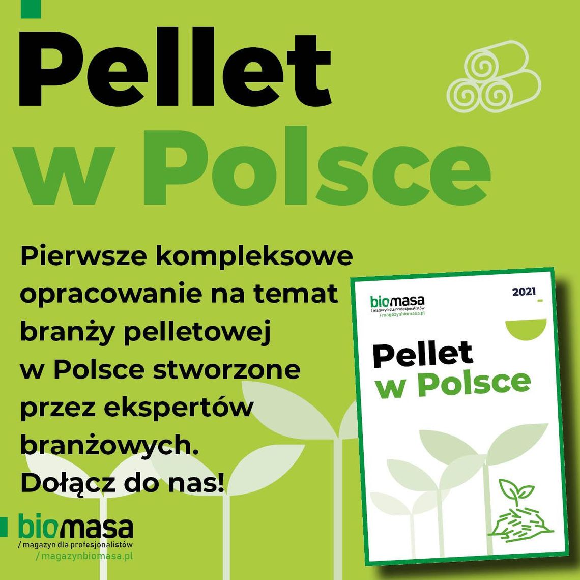 Publikacja "Pellet w Polsce"