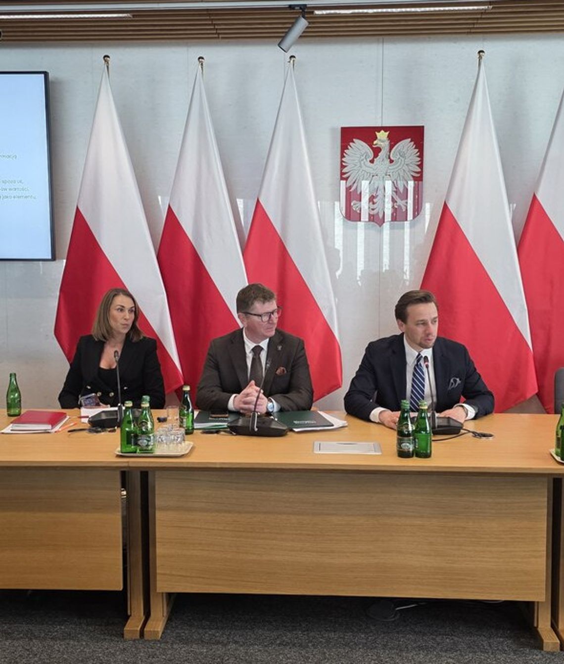 Relacja z konferencji IGU OZE w Sejmie - okiem wydawcy Świata Kominków