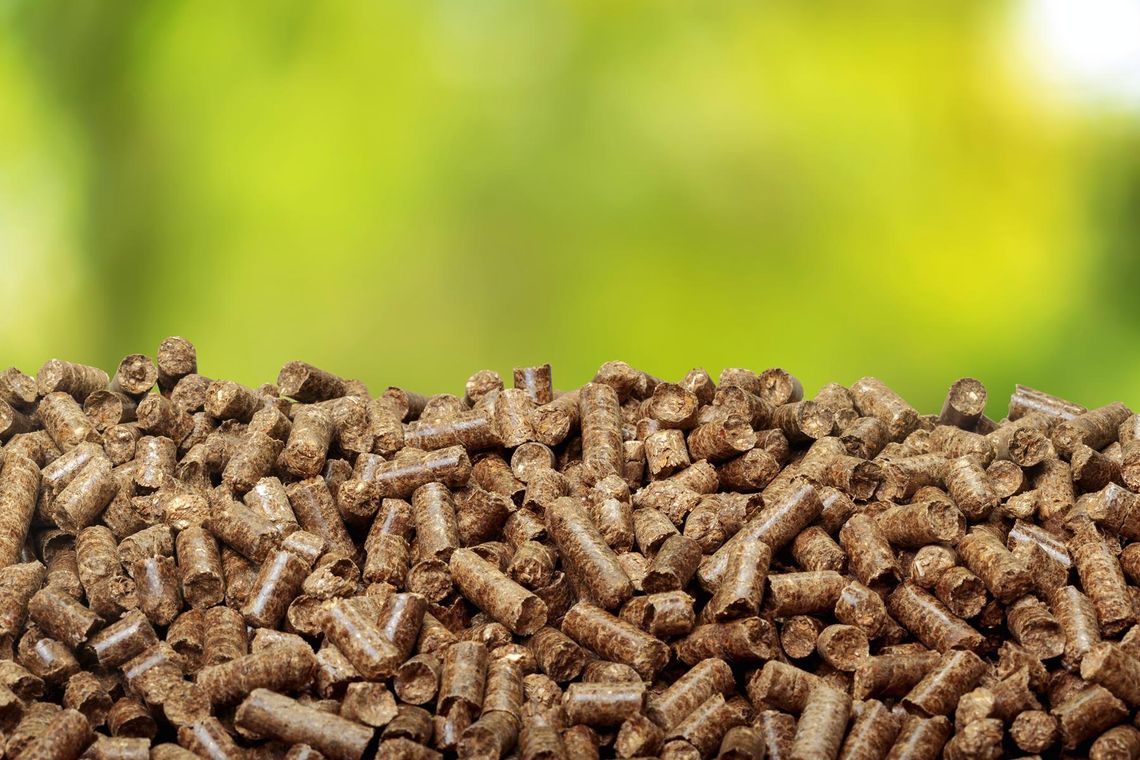 Report: Dynamics of development of the Polish wood pellet industry