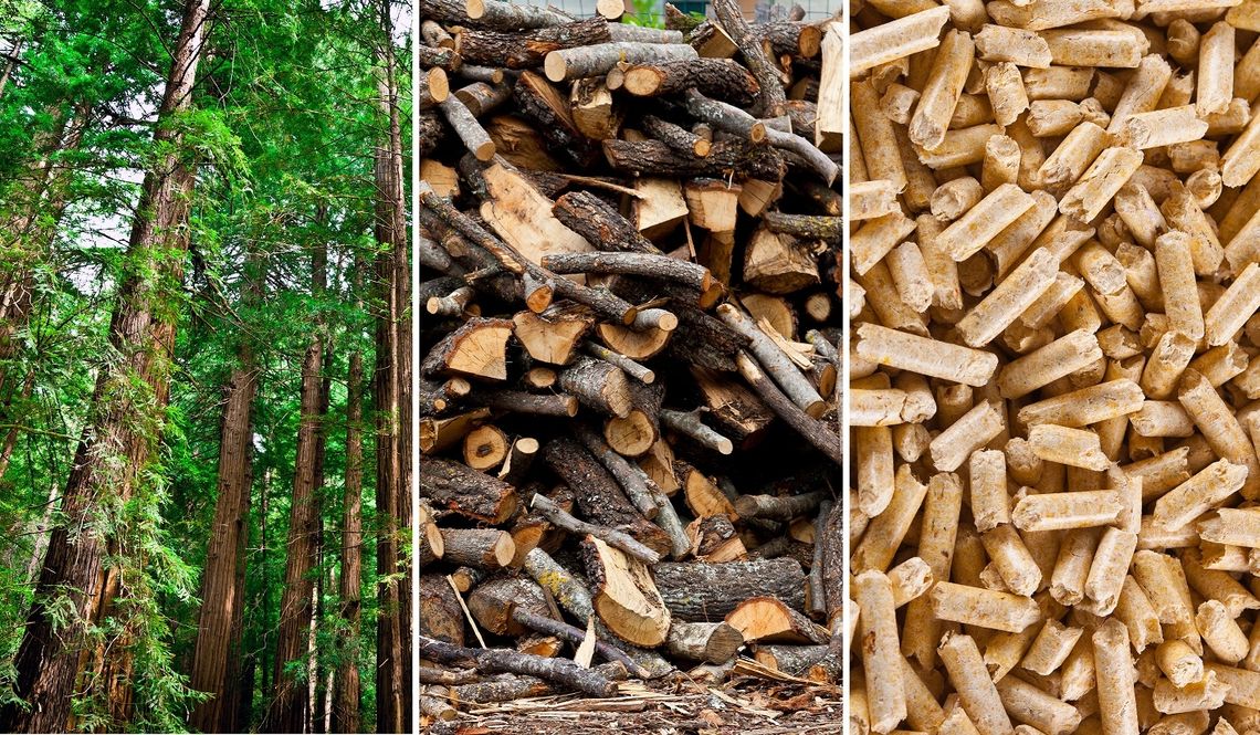 Wsparcie dla biomasy i drewna w ogrzewaniu domów  w Unii Europejskiej