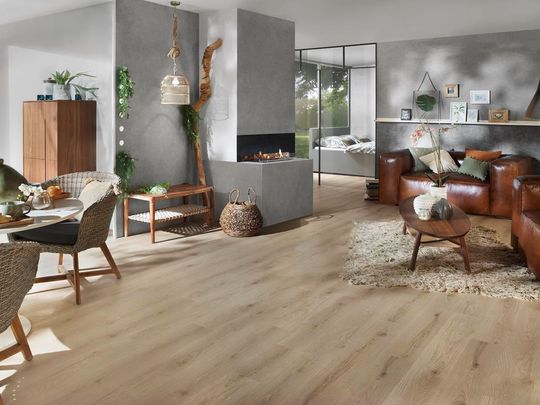 ONE 500 - biokominek Ebios-fire/Spartherm