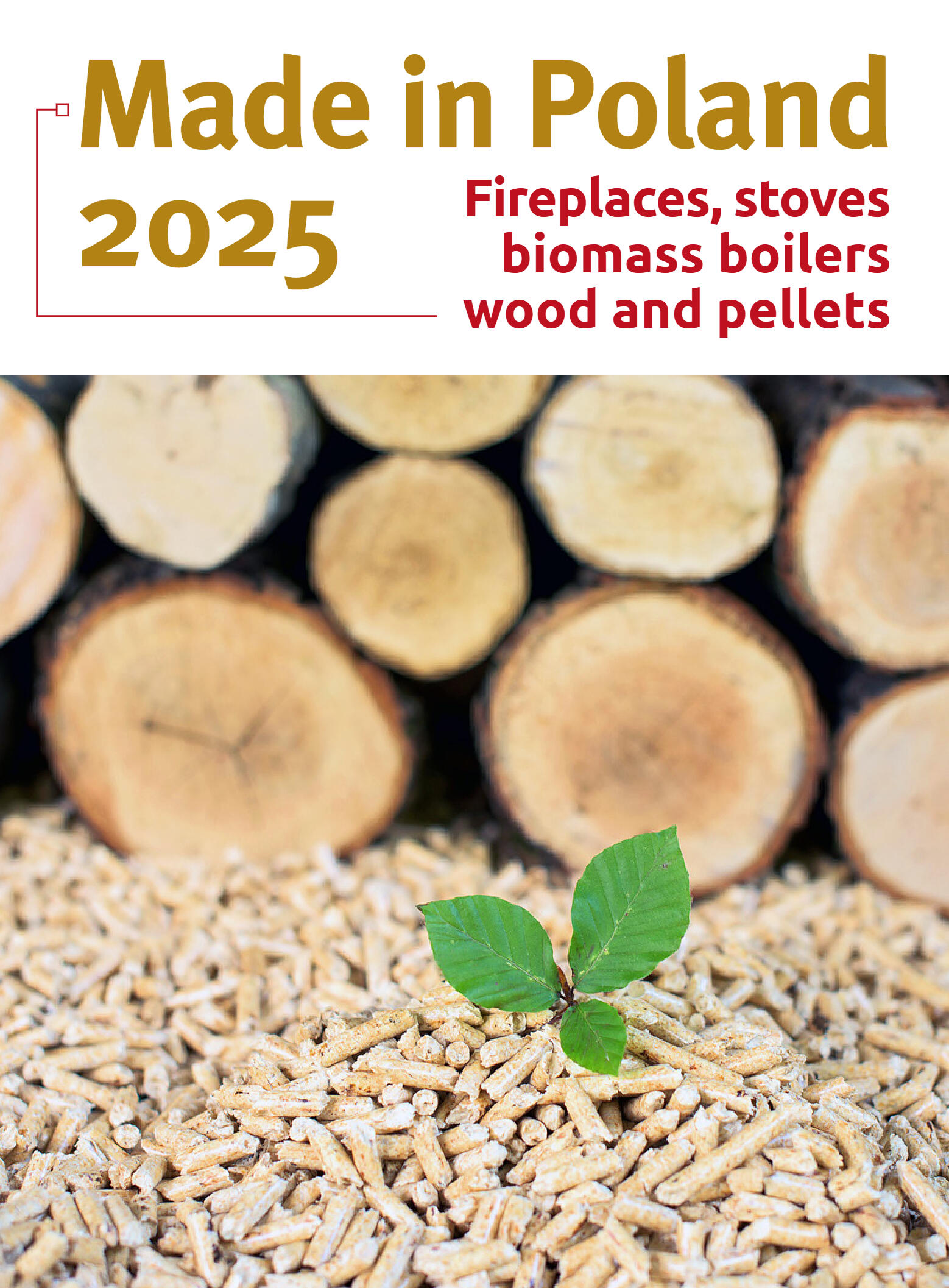 Fireplaces, stoves, biomass boilers, wood and pell - strona 1