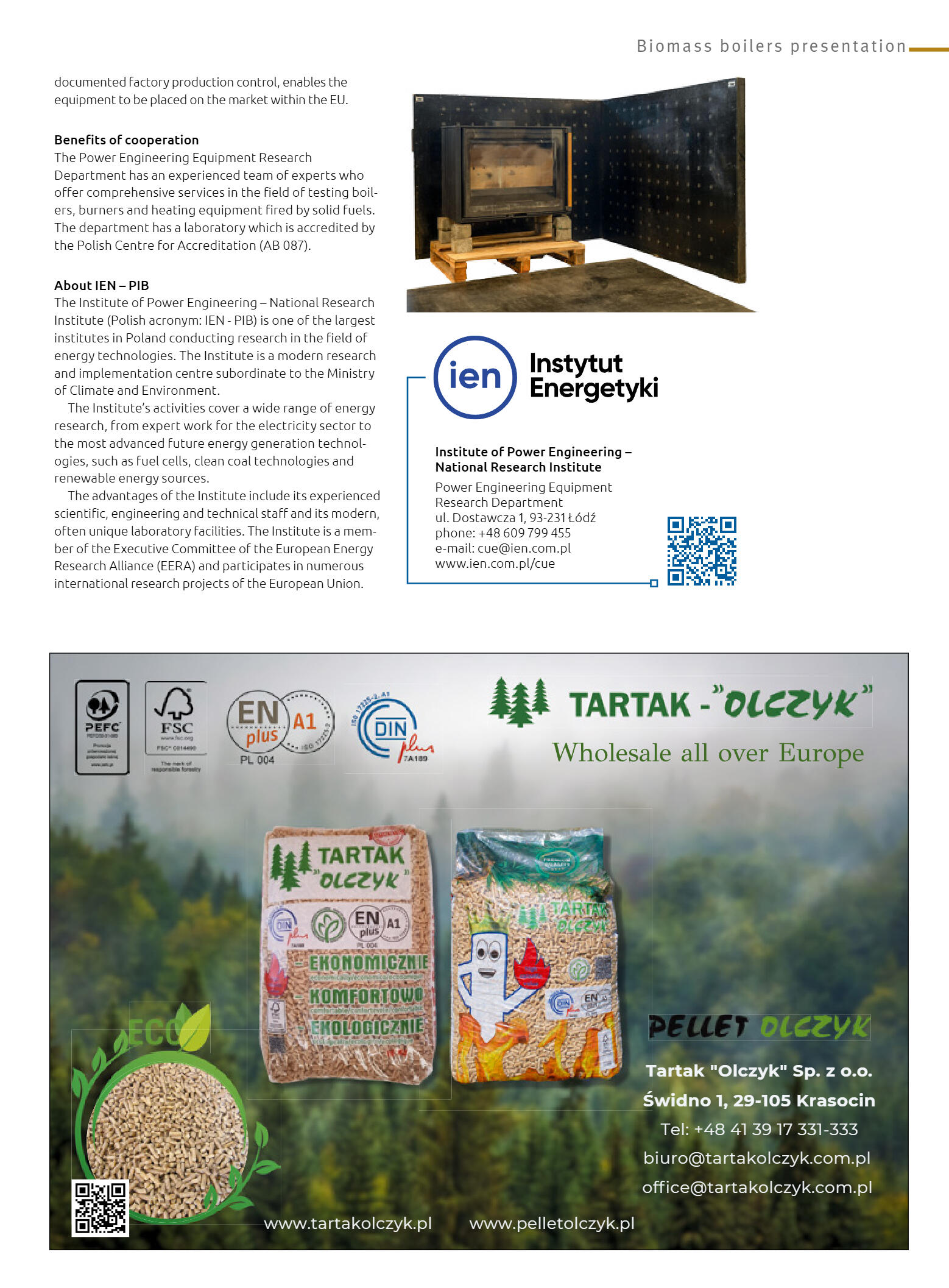 Fireplaces, stoves, biomass boilers, wood and pell - strona 45