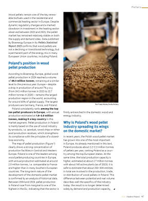 Made in Poland 2026 -Fireplaces, stoves, biomass b - strona 49