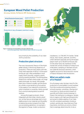 Made in Poland 2026 -Fireplaces, stoves, biomass b - strona 50