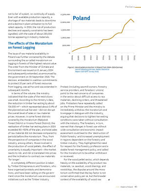 Made in Poland 2026 -Fireplaces, stoves, biomass b - strona 51