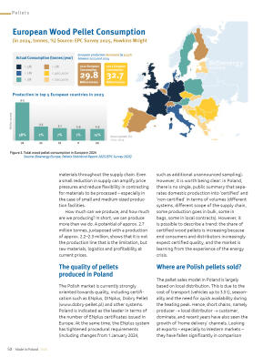 Made in Poland 2026 -Fireplaces, stoves, biomass b - strona 52