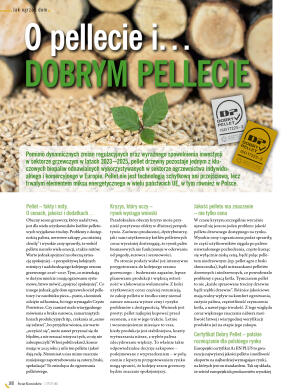Świat Kominków 1/2026 (81) - przeglądaj magazyn on - strona 170
