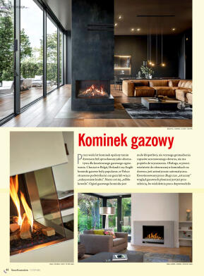 Świat Kominków 2/2026 (82) - przeglądaj magazyn on - strona 46
