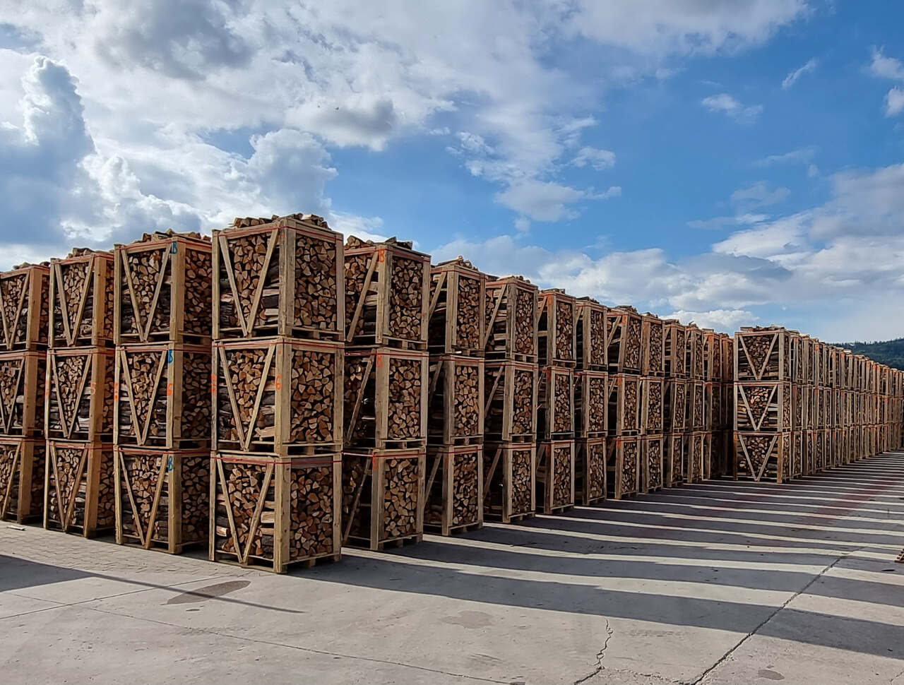 suche drewno kominkowe jak kupić najlepsze