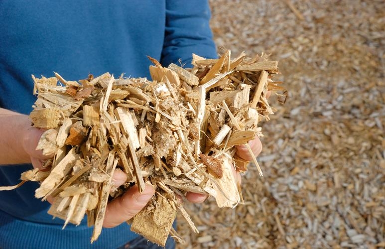 Biomasa drzewna w postaci zrębek i innej rozdrobnionej biomasy
